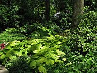 201107 1219
