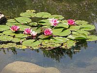 201107 1246