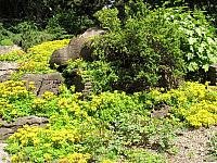 201107 1254