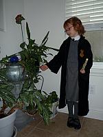 P1010589