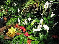 201109 400
