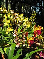 201109 401