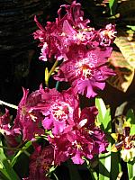 201109 402