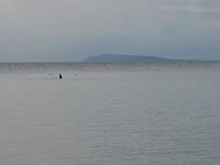 201202 046