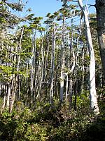 201203A 079