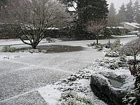 Left click to enlarge, then scroll using 'next' and 'previous' arrows