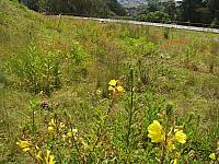201205A2 1288
