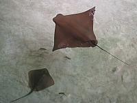 201205A2 1319