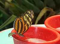 201205J2 016