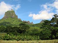 Moorea beauty