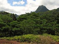 Moorea