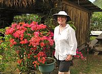 Bougainvillae (and traveler)