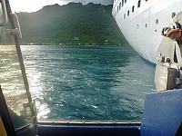 In the tender, heading for shore, Moorea