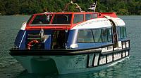 Ship's tender
