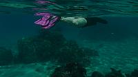 Snorkeling