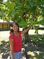 Dolores talks about breadfruit