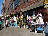 IMG 7087