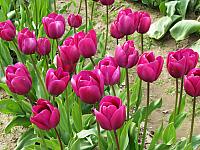 201304 069