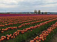 201304 073