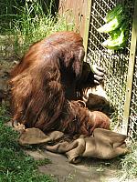 201306 031