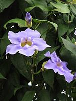 20130601 041