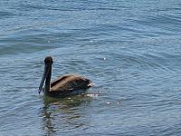201308SAN 004