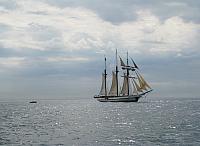 201308SAN 114