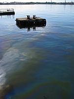201312HawaiiA 091