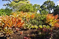 201312 Hawaii Edo 054