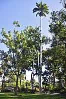 201312 Hawaii Edo 071