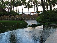 201312HawaiiA 252