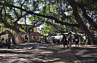 201312 Hawaii Edo 095