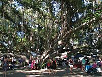 201312HawaiiA 397