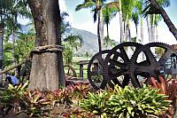 201312 Hawaii Edo 100