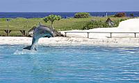 201312 Hawaii C 053