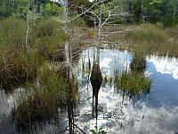 201402CaribK 210