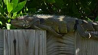 201402CaribK 269
