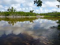 201402CaribK 530