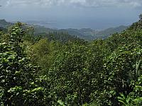 201402Carib 735