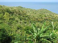 201402Carib 869
