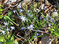 201404 Canada 172