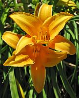 201405 OR WA 029