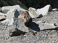 201408 Crystal Mtn 032