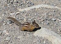 201408 Crystal Mtn 033