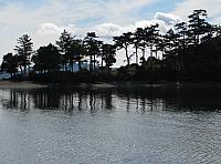 201409 156