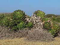 201411 104