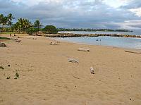201501 Hawaii 158