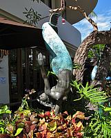 201501 Hawaii 678