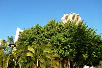 201501 Hawaii 994