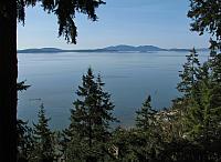 Bellingham